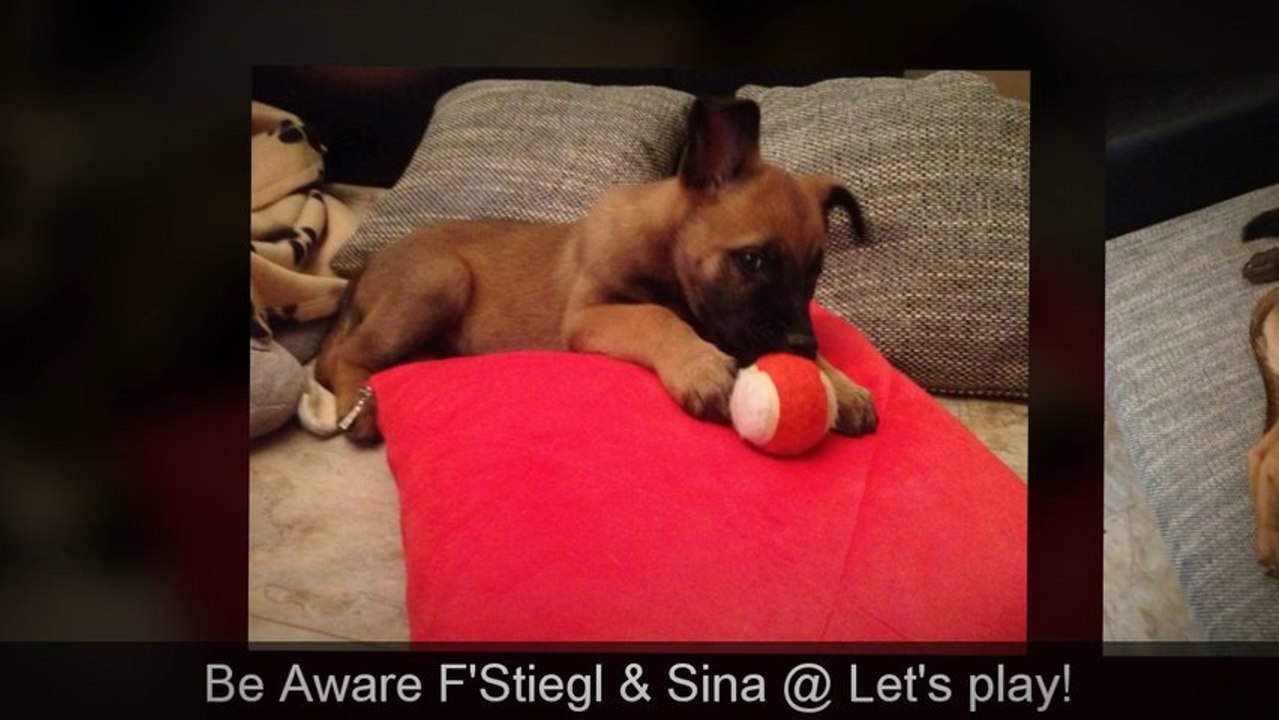 Be Aware F'Stiegl + Sina @ Let's play!