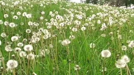 Expedition Natures Realm_ Episode 5