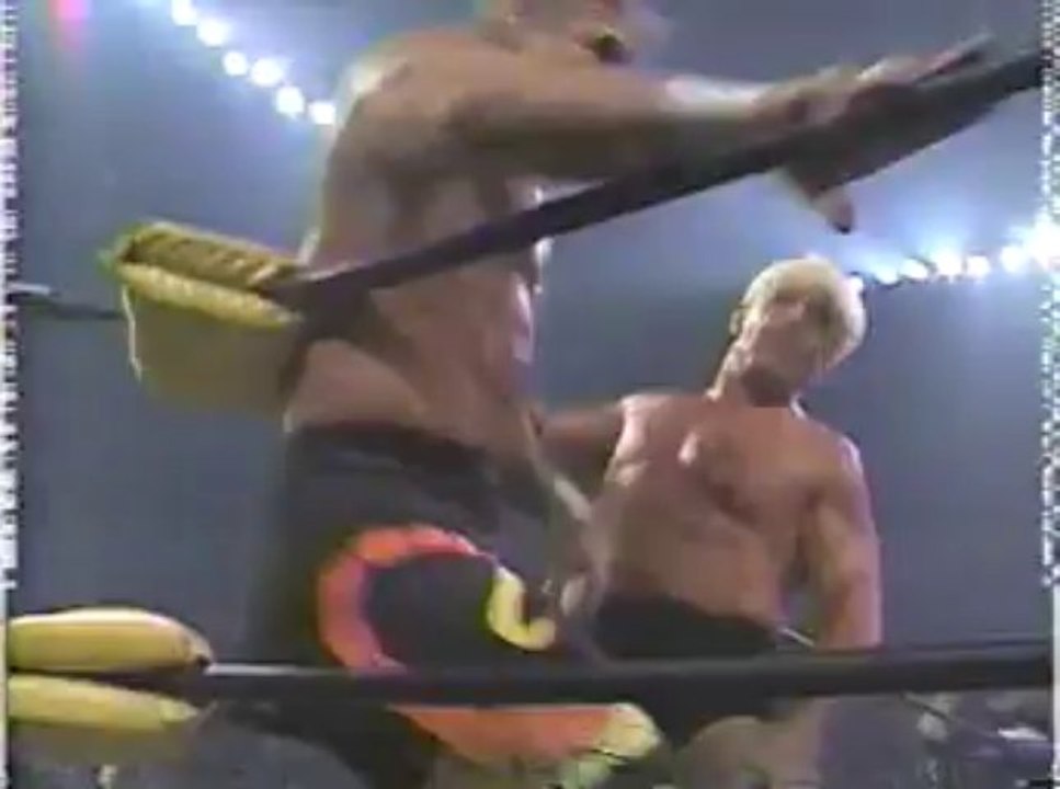 Sting vs Ric Flair vs Lex Luger - WCW Starrcade 1995