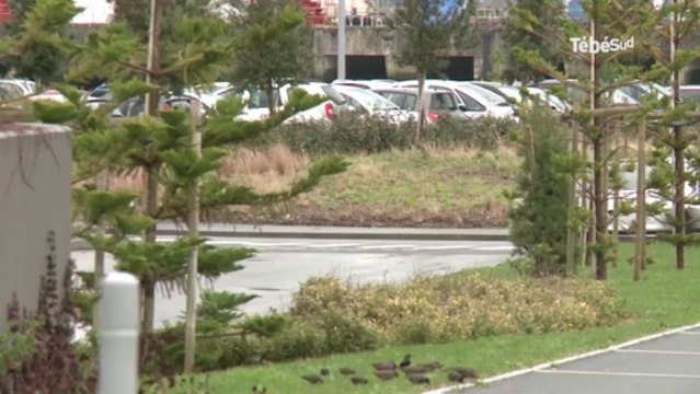 Lorient. Centre hospitalier du Scorff : de nouveaux défis