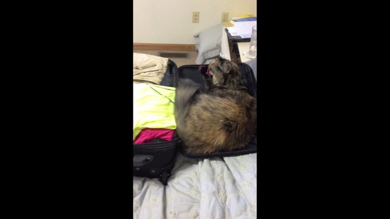 Ron Sandack and Cat Ready for Vacation