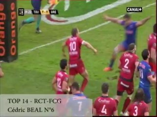 Cédric BEAL - FCG RUGBY