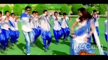 Poola rangadu  nuvvu naaku kavali  full  video song