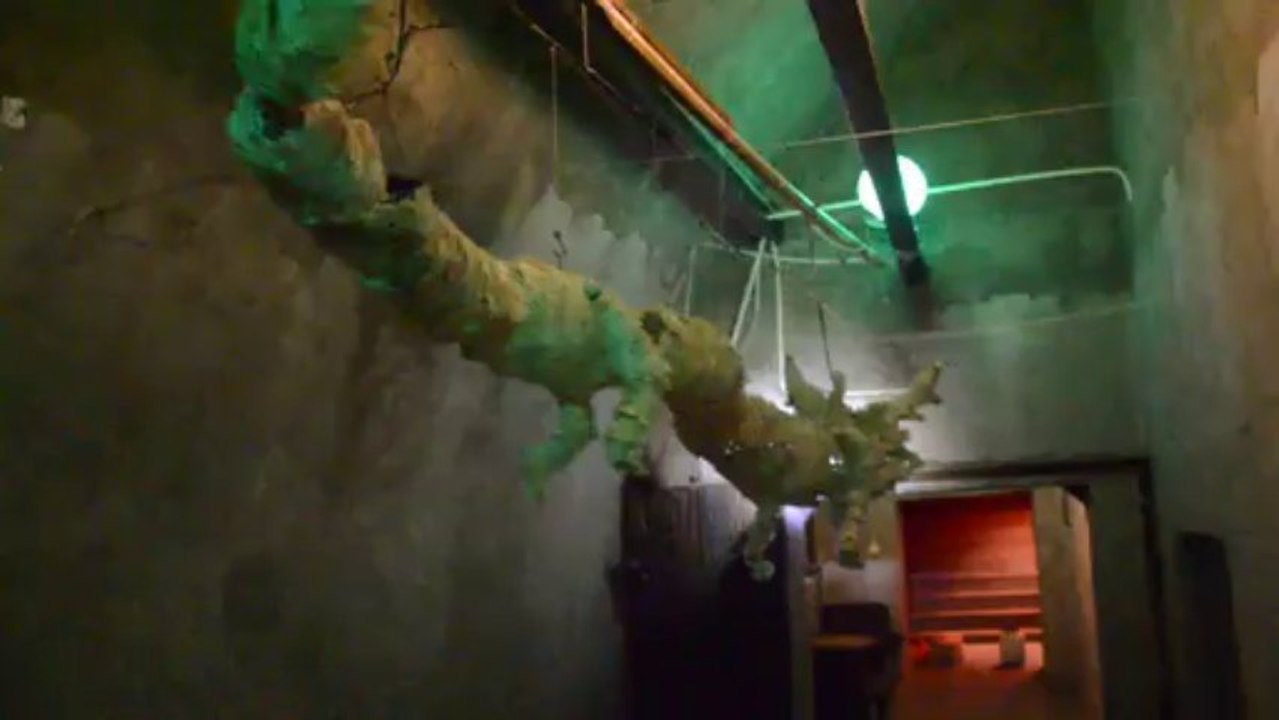 dragon out of badmington shuttlecock