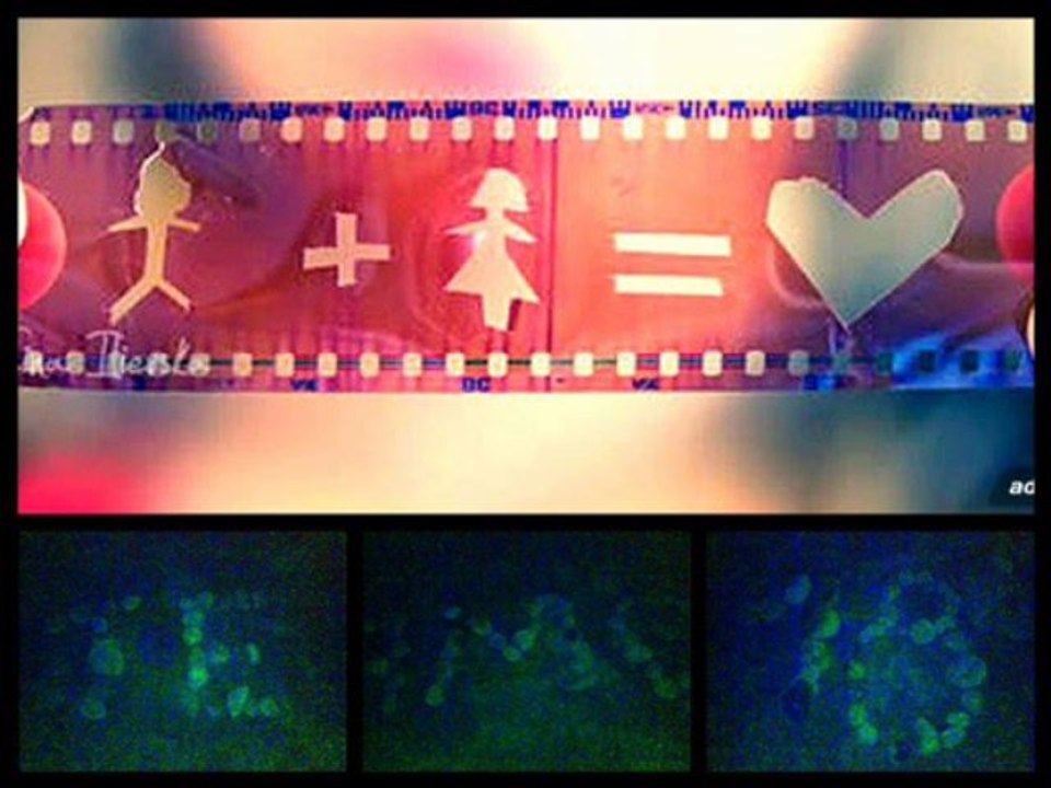 MIX PARA TI MI REINITA ROSSMERY ♥ 18♥