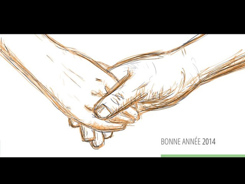 Voeux 2014 de Véronique Massonneau