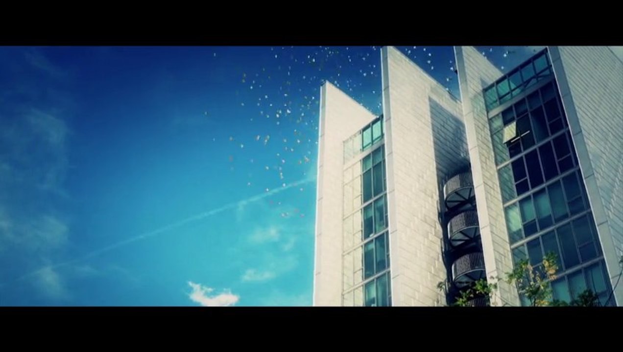 test-hirondelles_1
