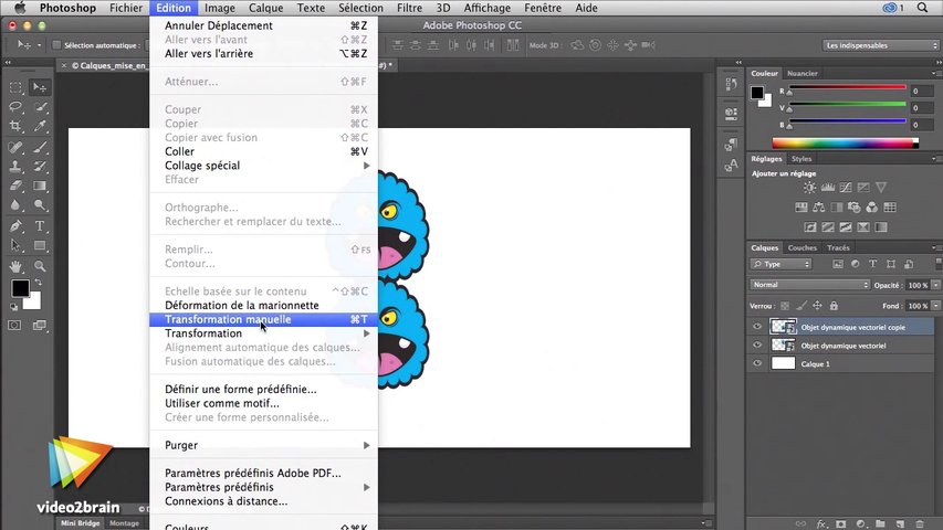Illustrator - Tutoriels vidéo