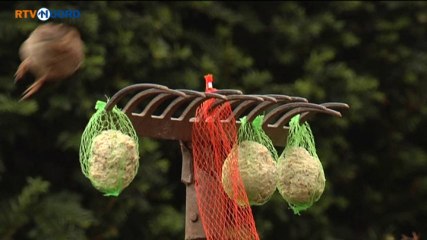 Het Weer [23-1-2014] - RTV Noord