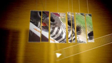 Photos trip - After Effects Template