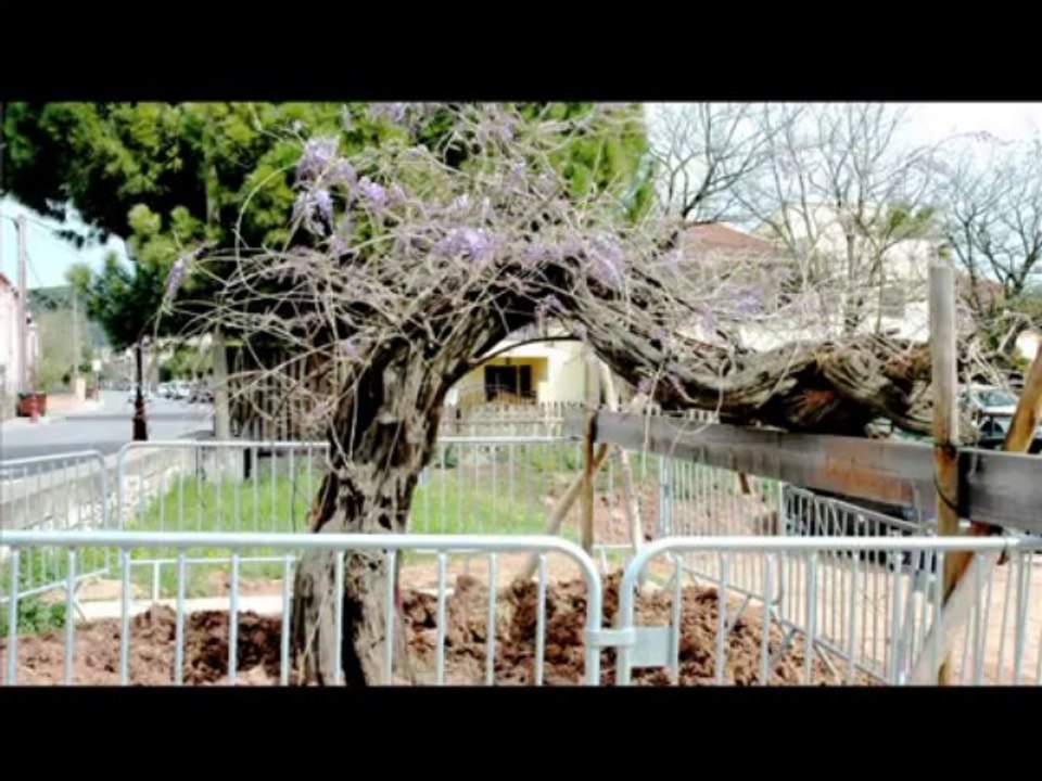 Avril 2012 | SITL | Conférence HQE et Immobilier logistique