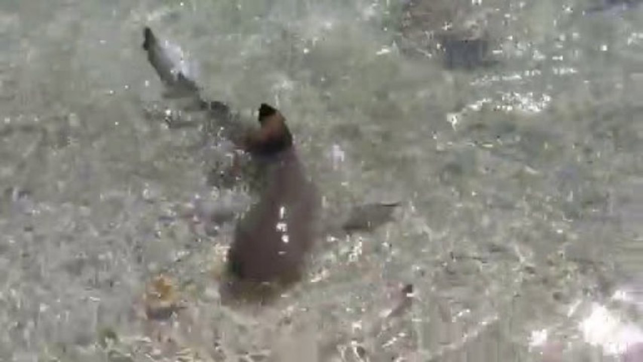 Reef Islands, Rangiroa
