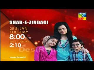 Shab-e-Zindagi Episode 1 - 28th January 2014 (Promo)