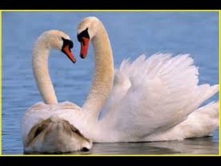 Late 90's Early 2000's (My favorites 2)