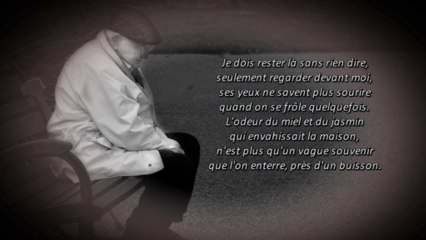 Clip "CENT RANCUNES" by Kenfyo (Danyel Fr?laut)