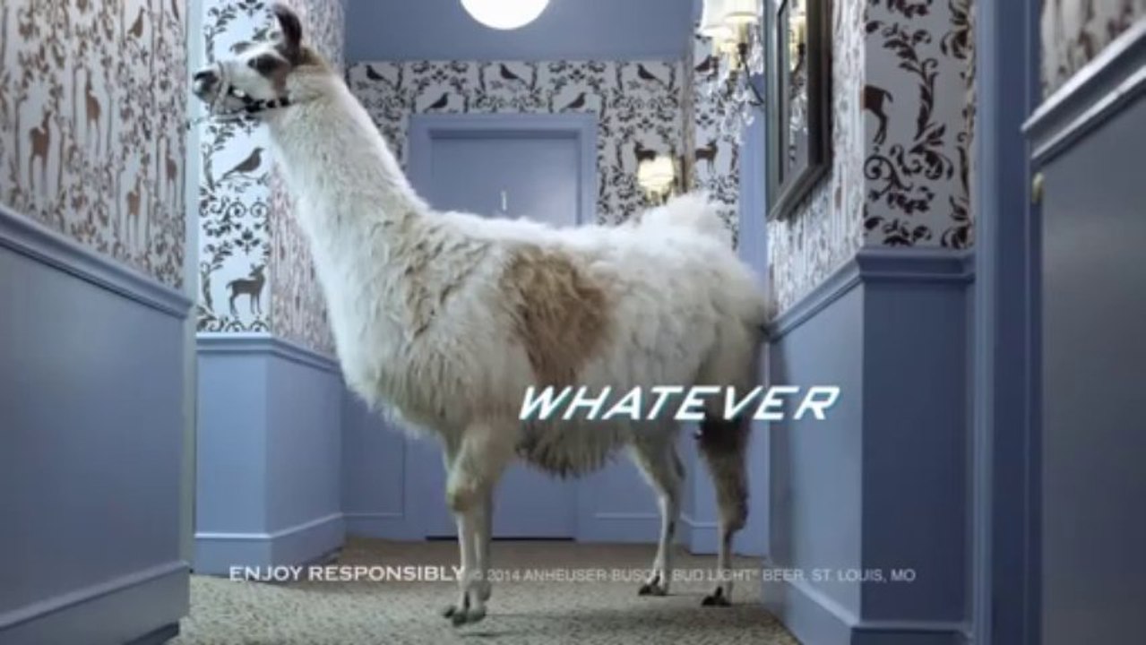 Bud Light 2014 Ad Teaser - Don