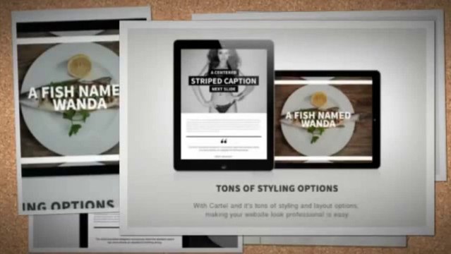 Cartel Responsive Portfolio WordPress Theme Download