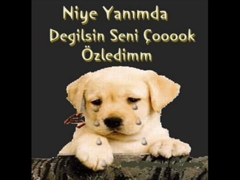 coşkun sabah && aşığım sana