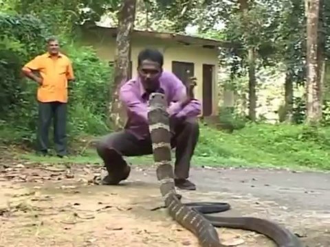 sesliimparator.com OROSBU COCUĞU İMPARATOR DENİZ SİE