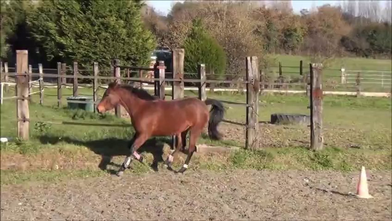 Virgule de la Barre 1 dec 2013
