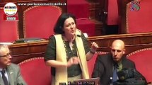 Maria Mussini (M5S) Alluvione in Emilia, la responsabilità è umana e politica - MoVimento 5 Stelle