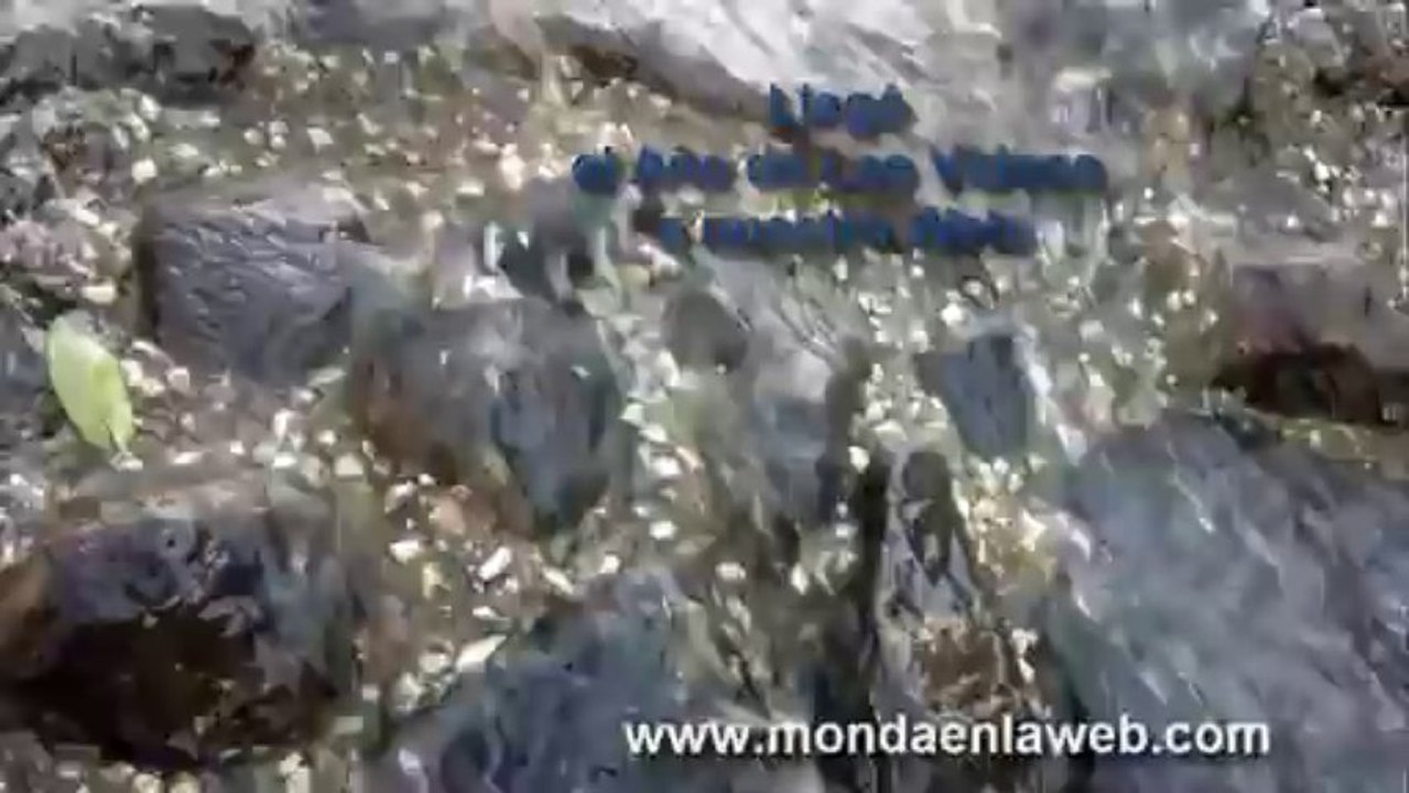 Monda en la Web