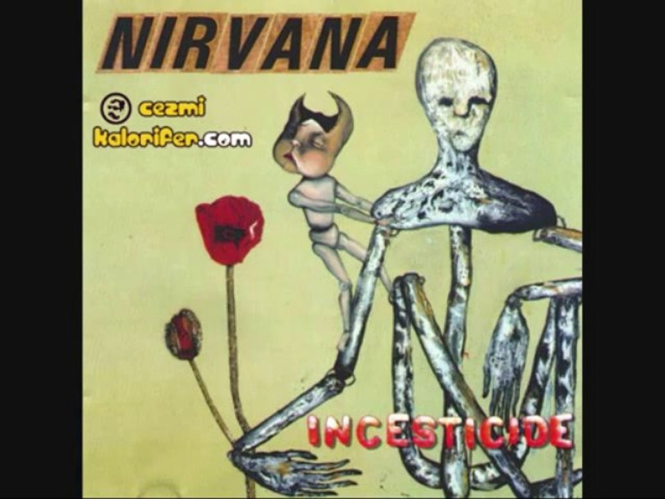 Nirvana - Mexican Seafood