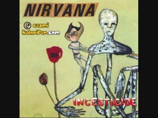 Nirvana - Mexican Seafood