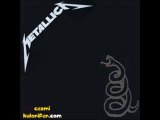 Metallica - Sad But True