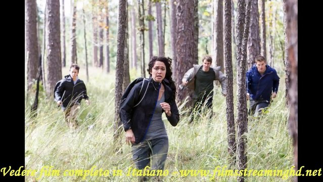 Angry Games - La ragazza con l'uccello di fuoco film vedere completo online in italiano streaming gratis