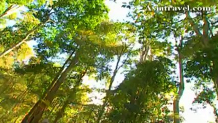 Village Life of Thailand by Asiatravel.com