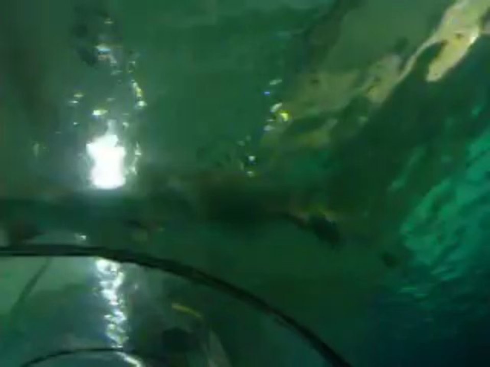 CANNES ET MARINELAND
