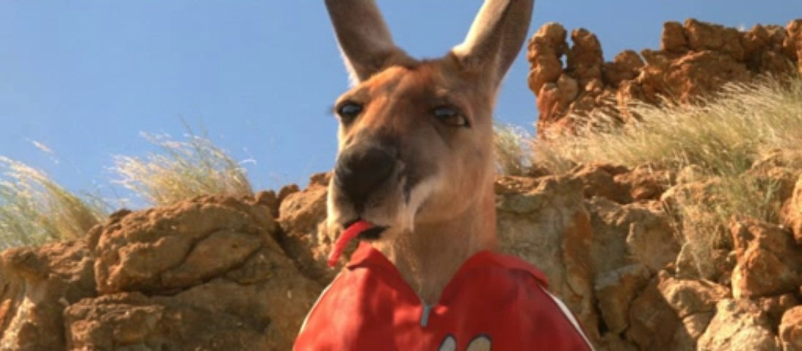 Watch Kangaroo Jack (2003) Online Part 1 video Dailymotion