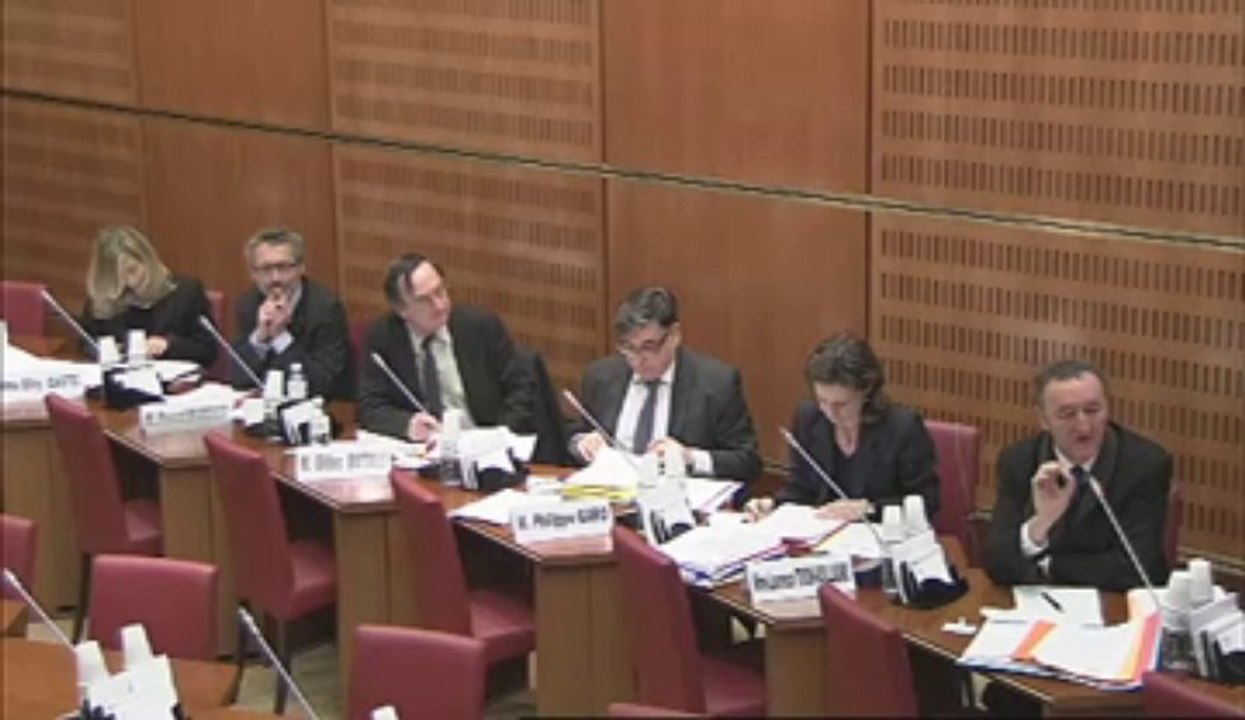 Audition de M. Michel Orier, DG de la création artistique du ministère de la culture et de la communication - Jeudi 7 Février 2013