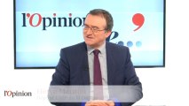 L'Opinion de Hervé Mariton