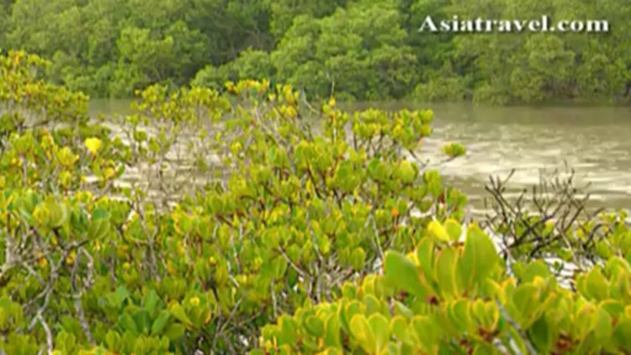 Brisbane, Australia by Asiatravel.com