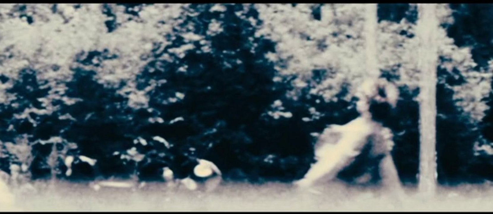 VaV Sublimes Créatures