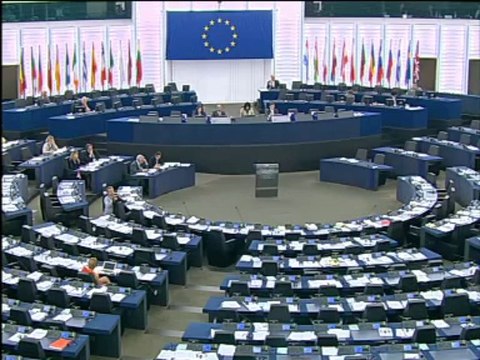 EuroparlTV - Mutilations génitales