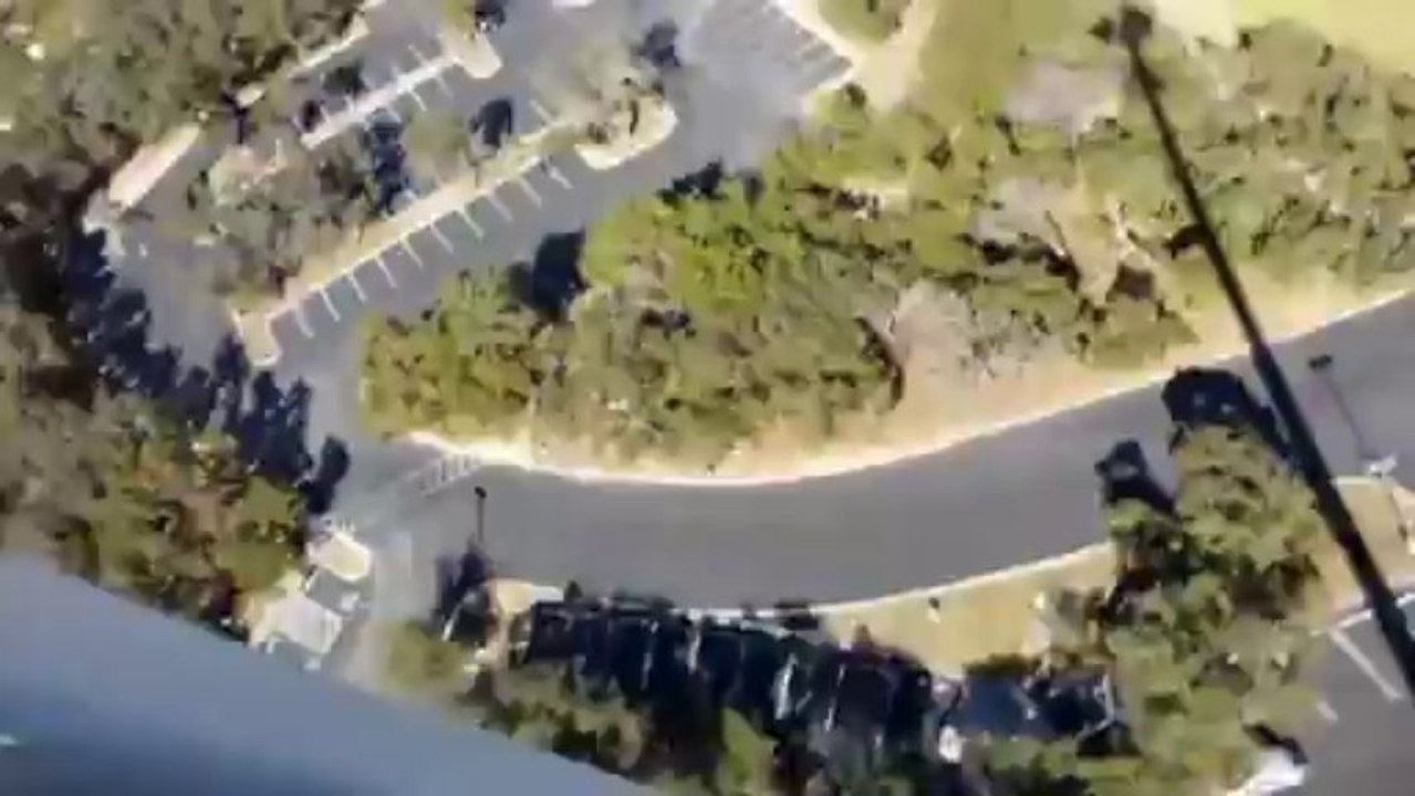 Crazy animal attack : Hawk attacking guy on cell tower