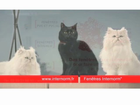 Menuiseries performantes : Fenêtre PVC - KF 500 d'Internorm