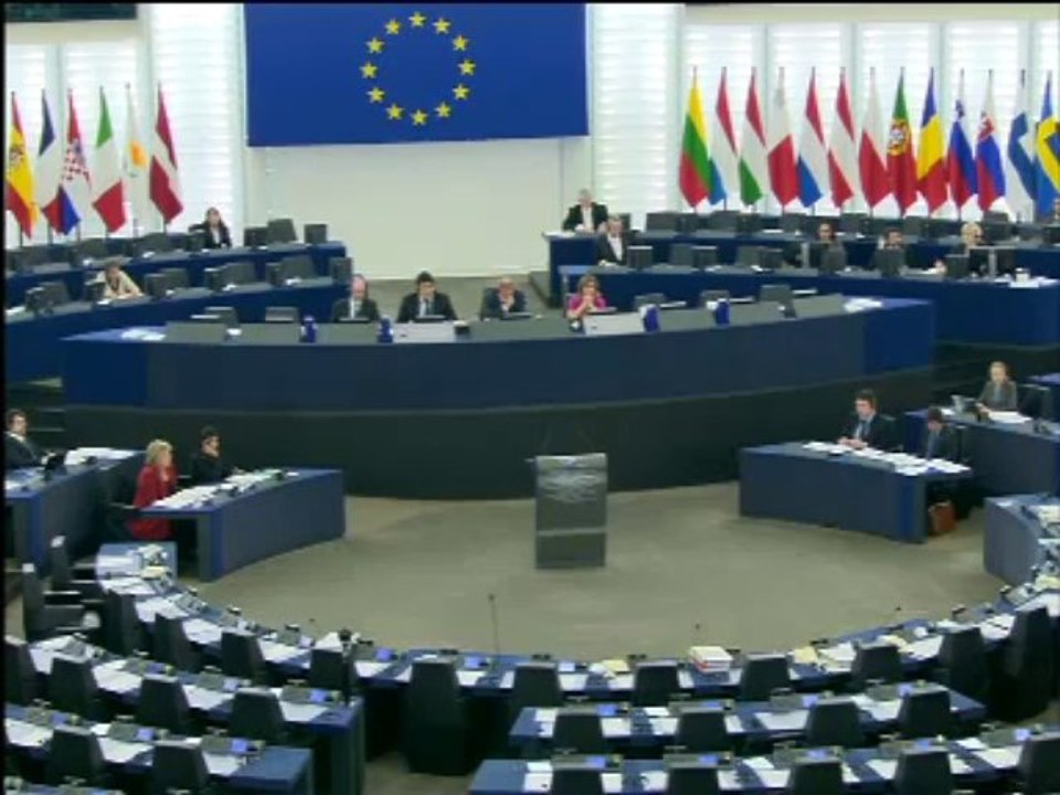 EuroparlTV - Situation des Roms 2/2
