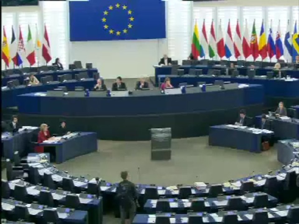 EuroparlTV - Situation des Roms 1/2