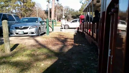 Hermann Park Train Collision Original