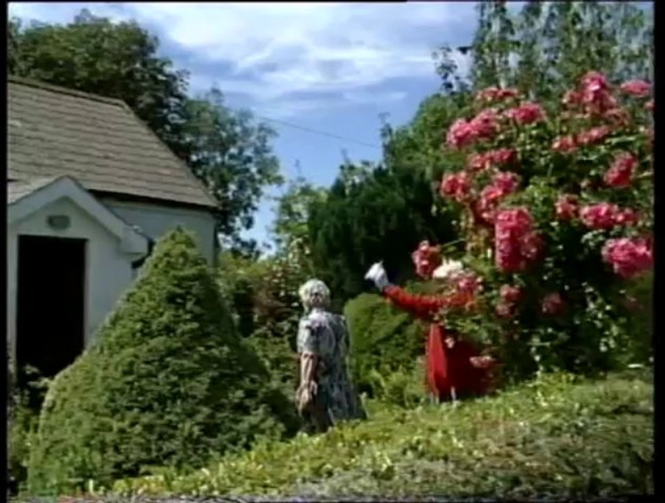 Sally Dorans Nelly Bike - Richie Kavanagh