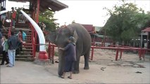 Elephant Ride, Great Experience at Pattaya - Thailand Holidays