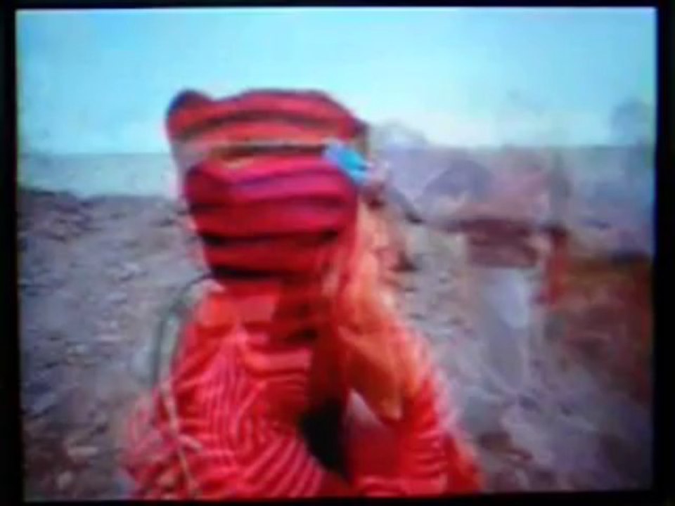 Bonanza pakistani ad