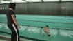 Using Speedo Hydrodiscs to tone the upper body - Tutorials - Speedo Swim Advisors - Presented by ProSwimwear
