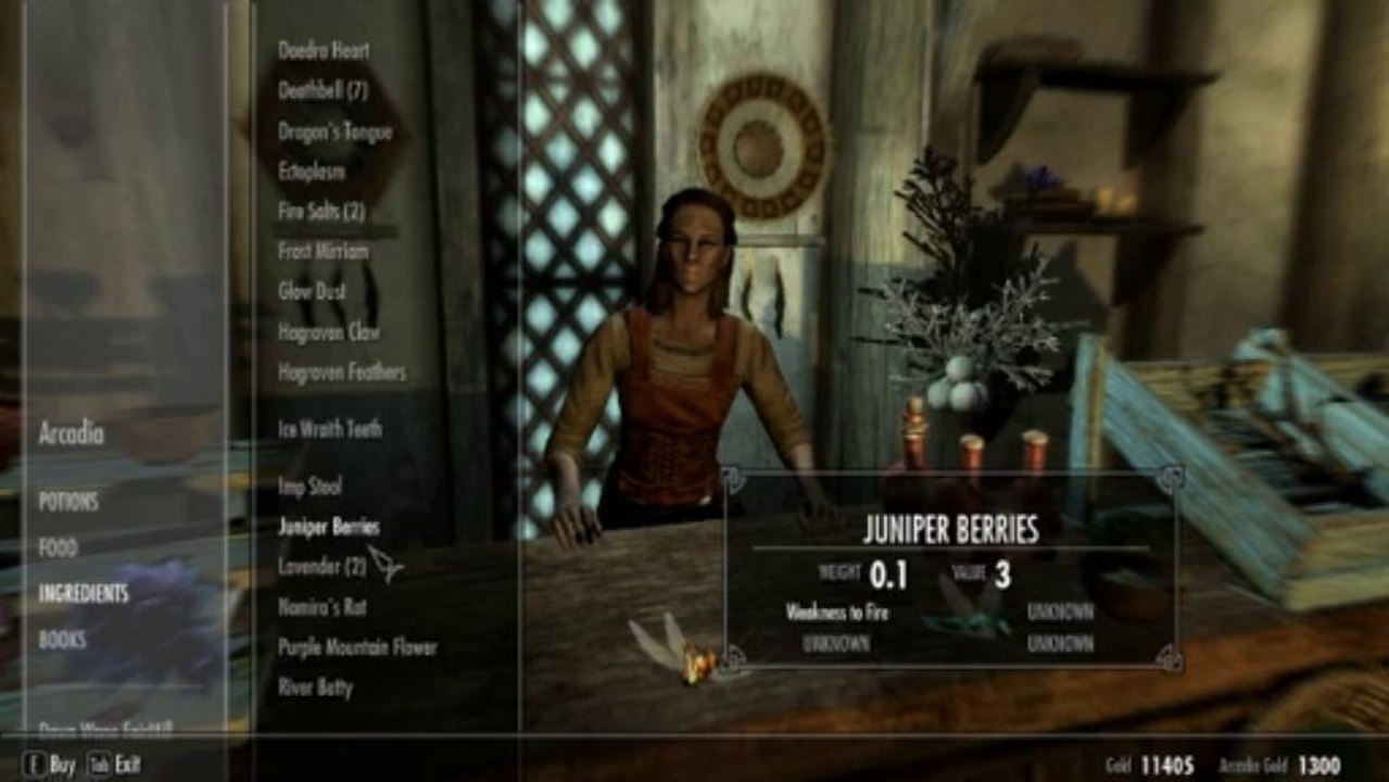 Skyrim: Hunters Guide (2011)