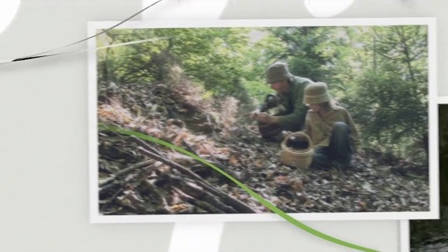 Garmisch-Partenkirchen - Garmisch-Partenkirchen, Germany