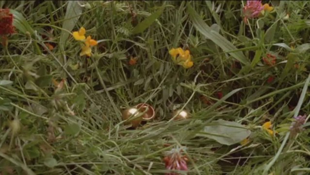 LE PECHE SUEDOIS - Bande-annonce VO